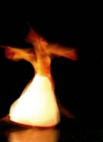 /album/quasimodo/quasimodo16-jpg/